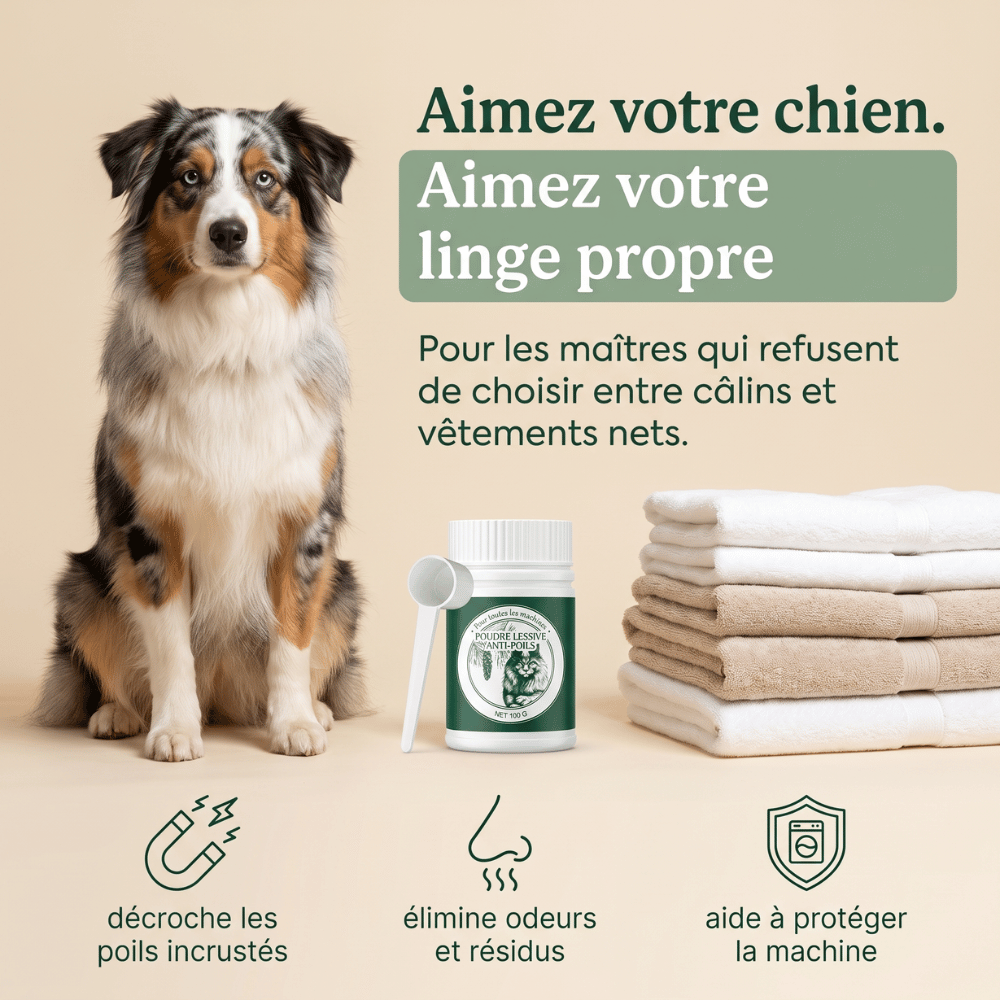 Floof Clean - La fin des poils sur votre linge grâce à une machine propre
